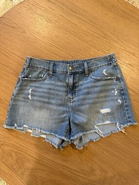 Aerie Denim Short